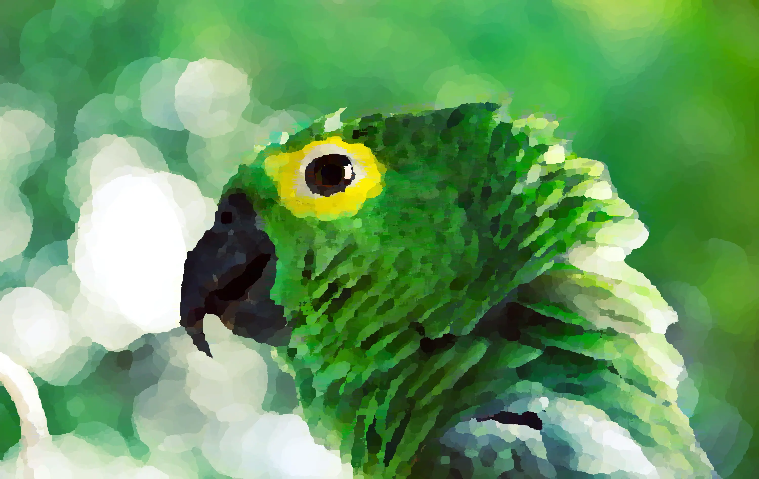 A green parrot