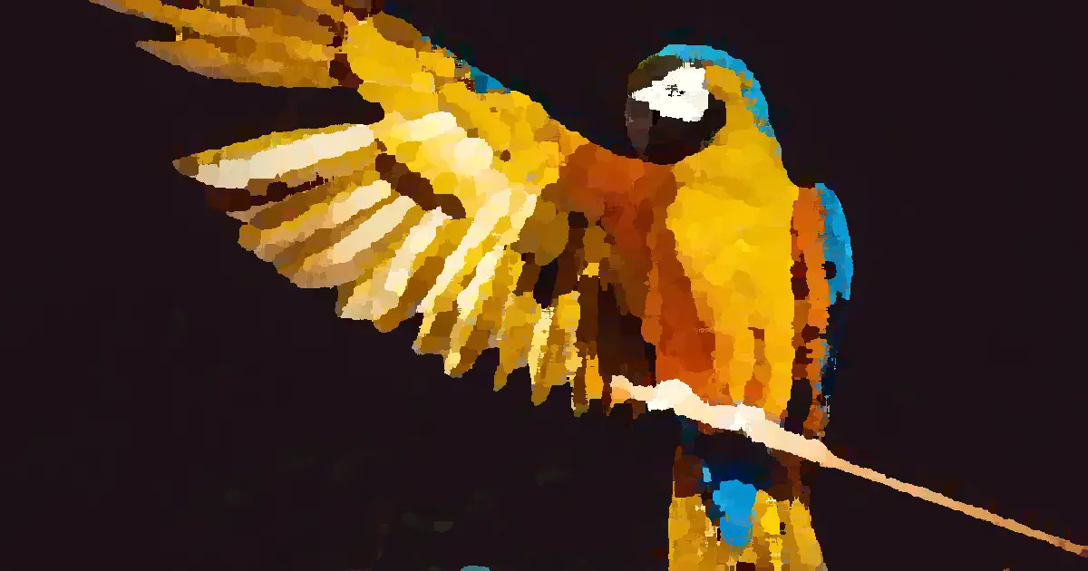 Arara-canindé with one wing opened